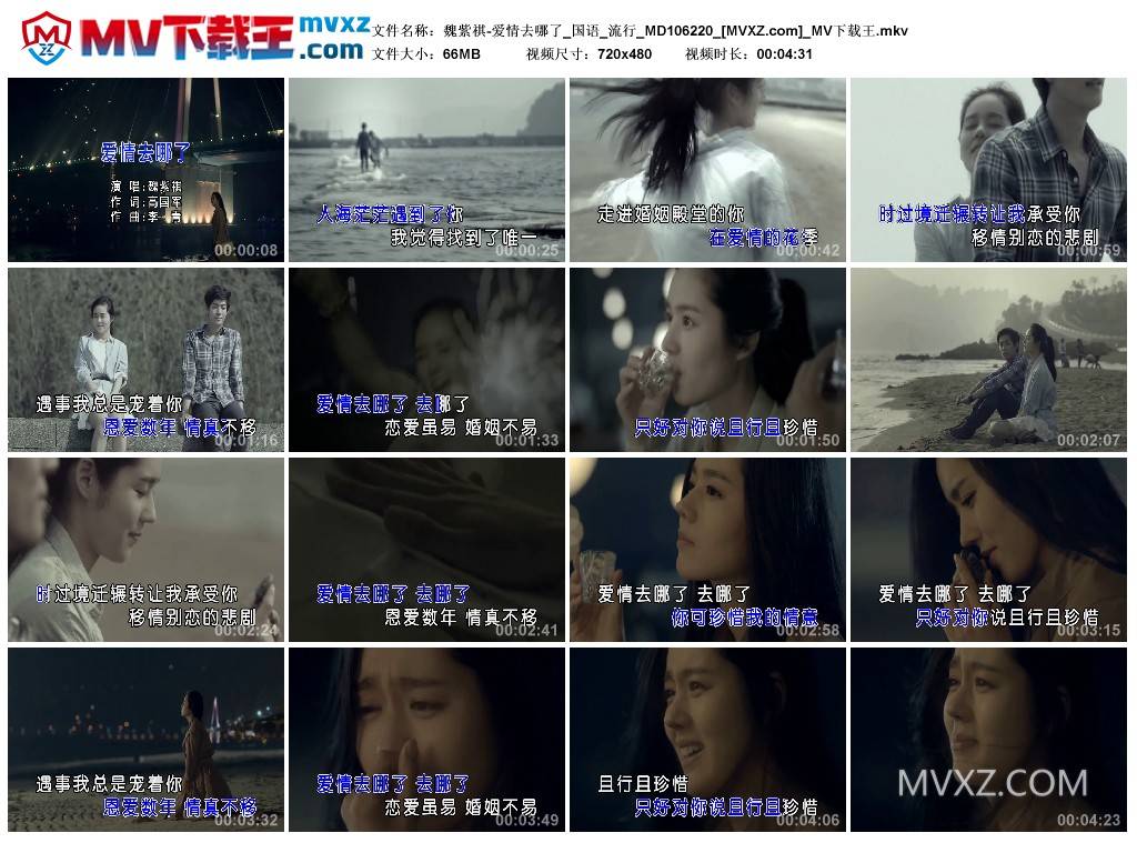 魏紫祺-爱情去哪了_国语_流行_MD106220